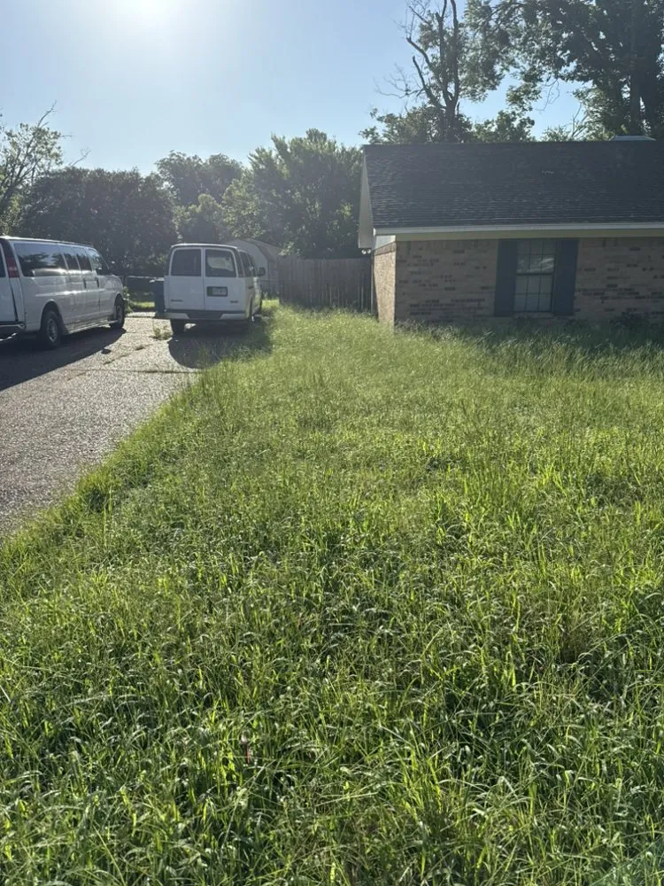 Expert lawn mowing service in Hawkins, TX - Tall Pines Lawncare