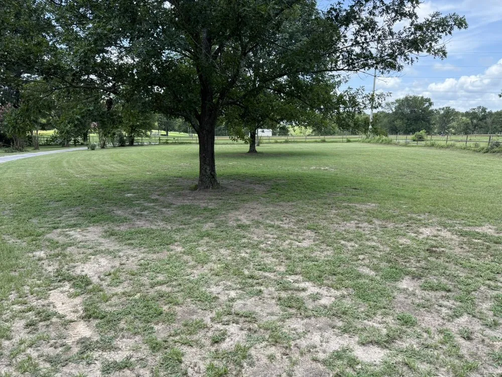 Reliable yard maintenance for year-round maintenance across Hawkins, TX - Tall Pines Lawncare