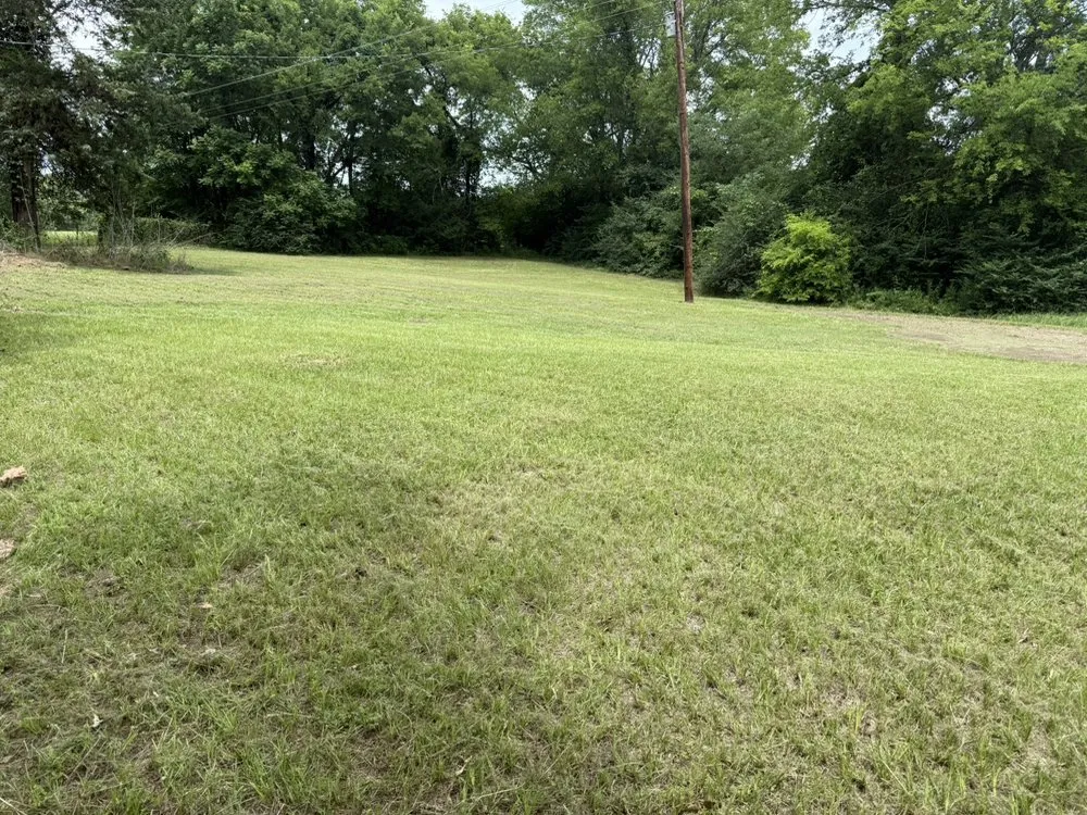 Expert yard cleanup service in Hawkins, TX by Tall Pines Lawncare