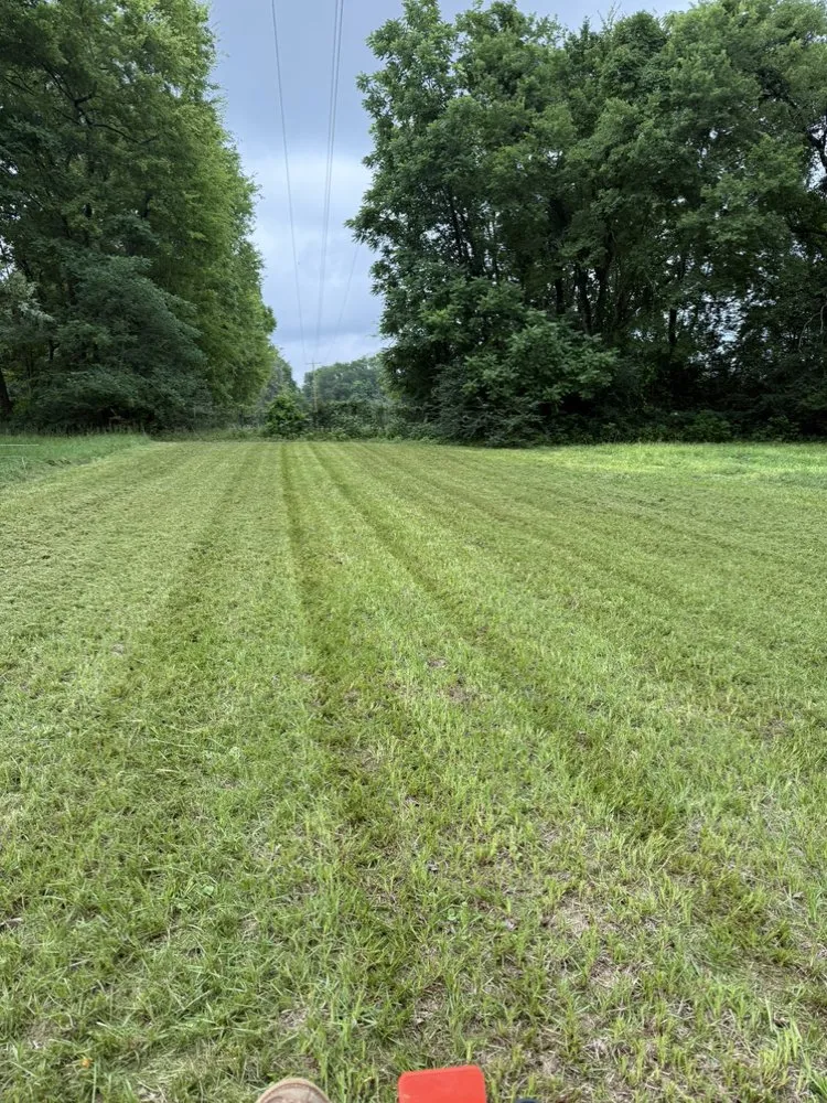 Affordable yard cleanup service experts serving Hawkins, TX - Tall Pines Lawncare