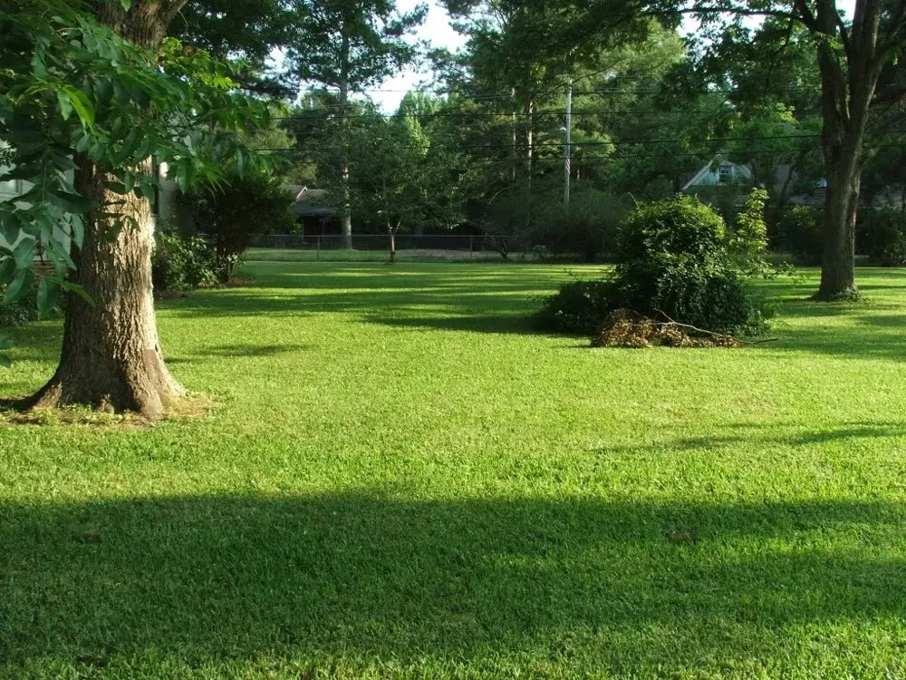 Reliable lawn mowing service experts serving Hawkins, TX - Tall Pines Lawncare