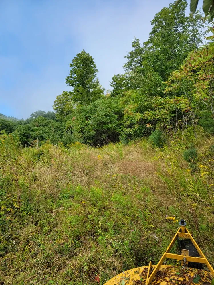 Professional outdoor landscaping experts serving Cornish, NH - Tall Pines Property Maintenance