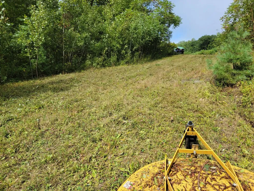 Expert yard cleanup service experts serving Cornish, NH - Tall Pines Property Maintenance