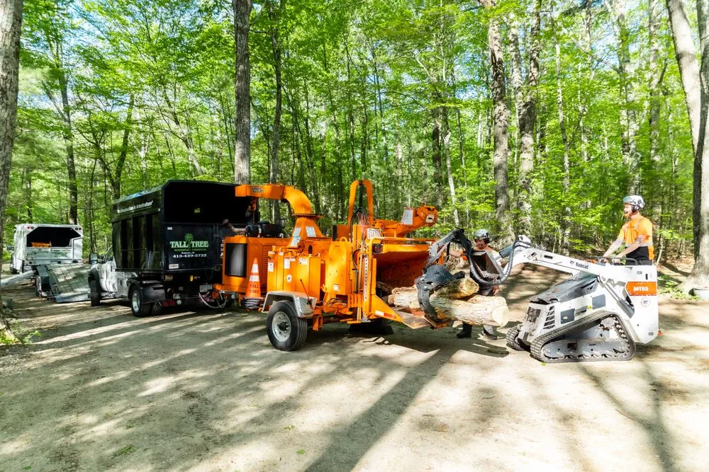 Expert yard cleanup service in Belchertown, MA - Tall Tree Landscape