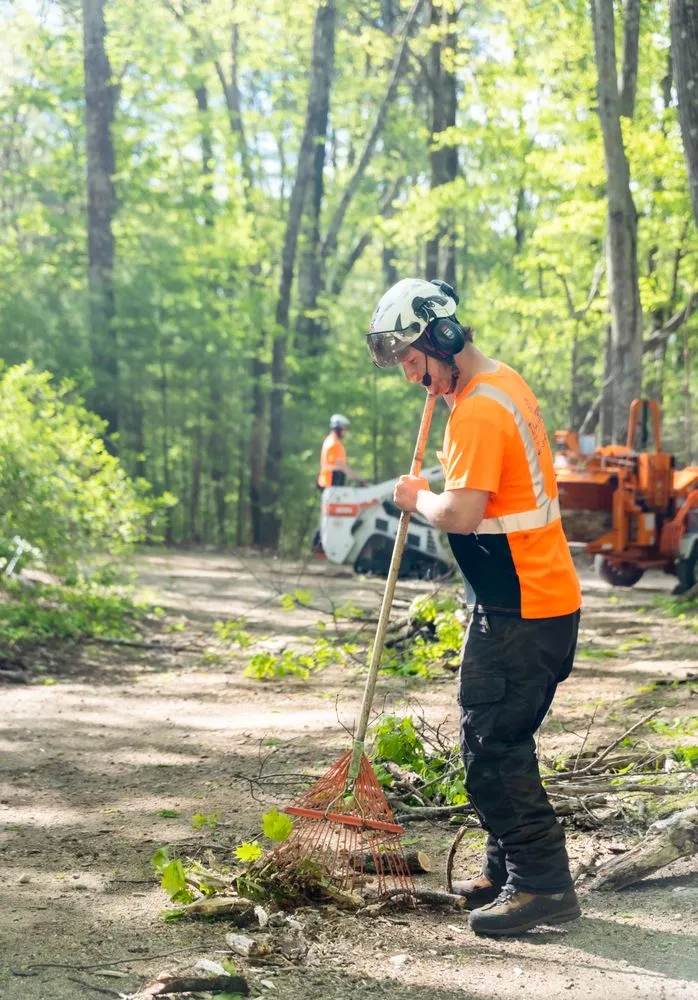 Expert garden landscaping for homes in Belchertown, MA by Tall Tree Landscape