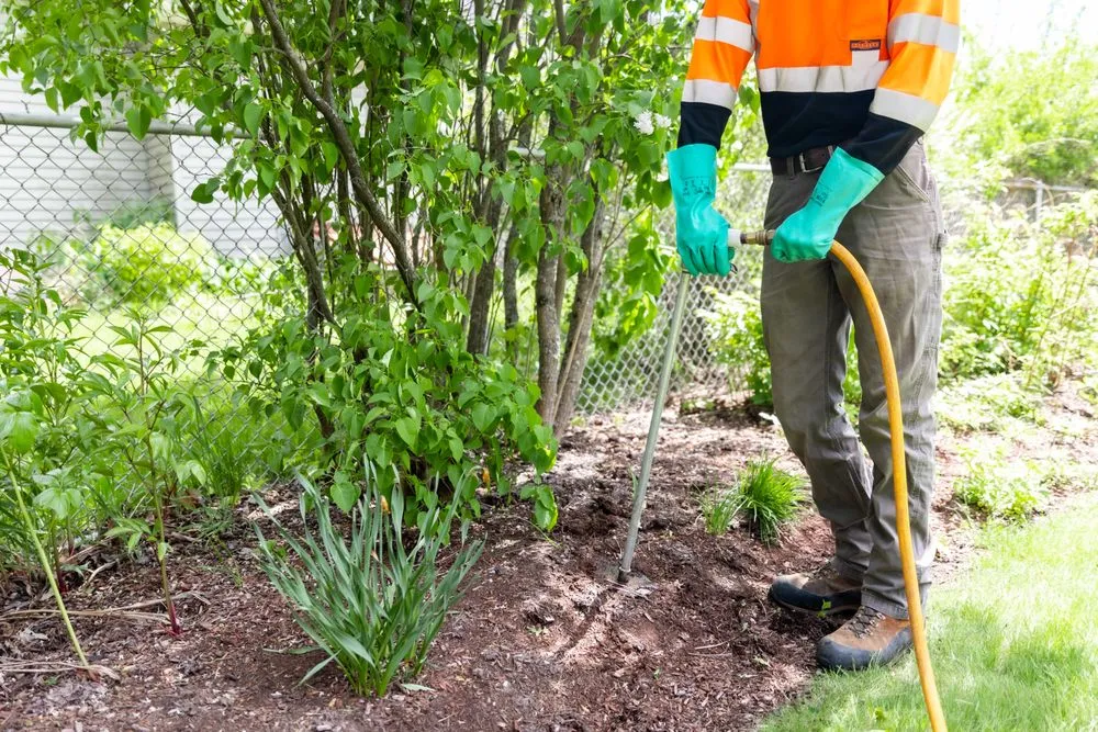 Local yard maintenance in Belchertown, MA by Tall Tree Landscape