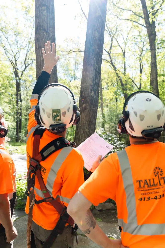 Local landscape installation for residential properties across Belchertown, MA - Tall Tree Landscape