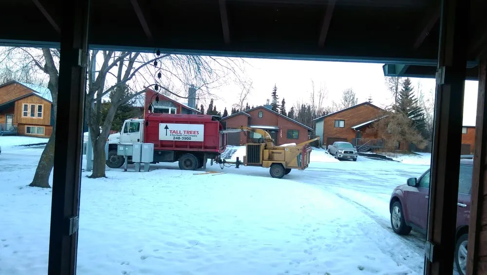 Affordable garden landscaping experts serving Anchorage, AK - Tall Trees