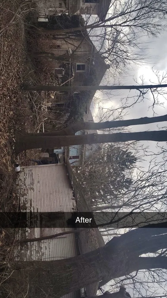 Professional landscaping services in Saint Paris, OH by Tall Wood Tree Experts