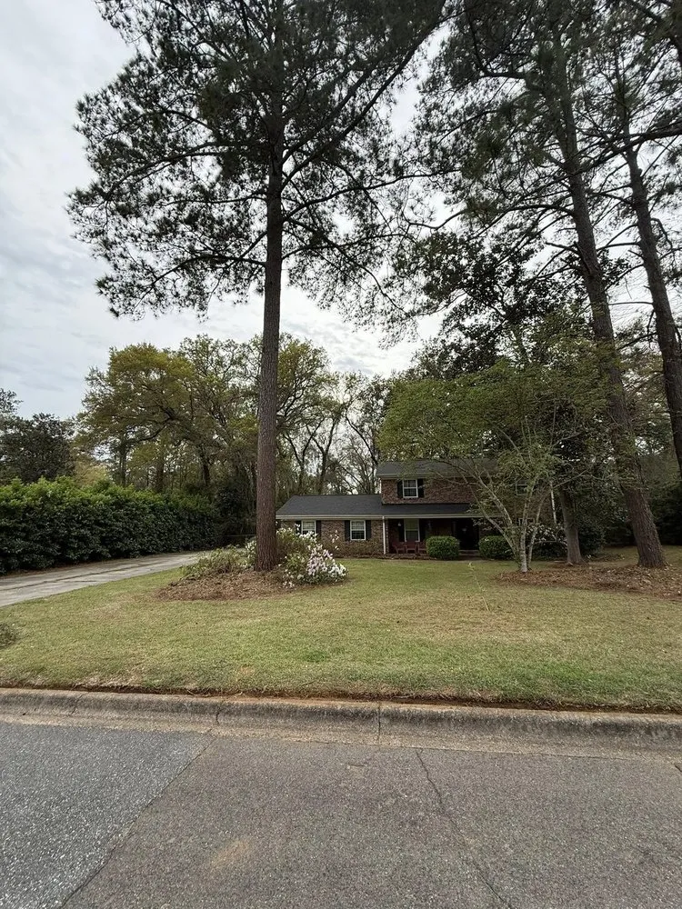 Expert outdoor landscaping experts serving Tallahassee, FL - Tallahassee Lawn & Landscape