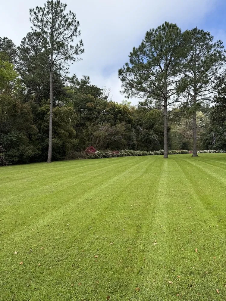 Expert landscape design experts serving Tallahassee, FL - Tallahassee Lawn & Landscape