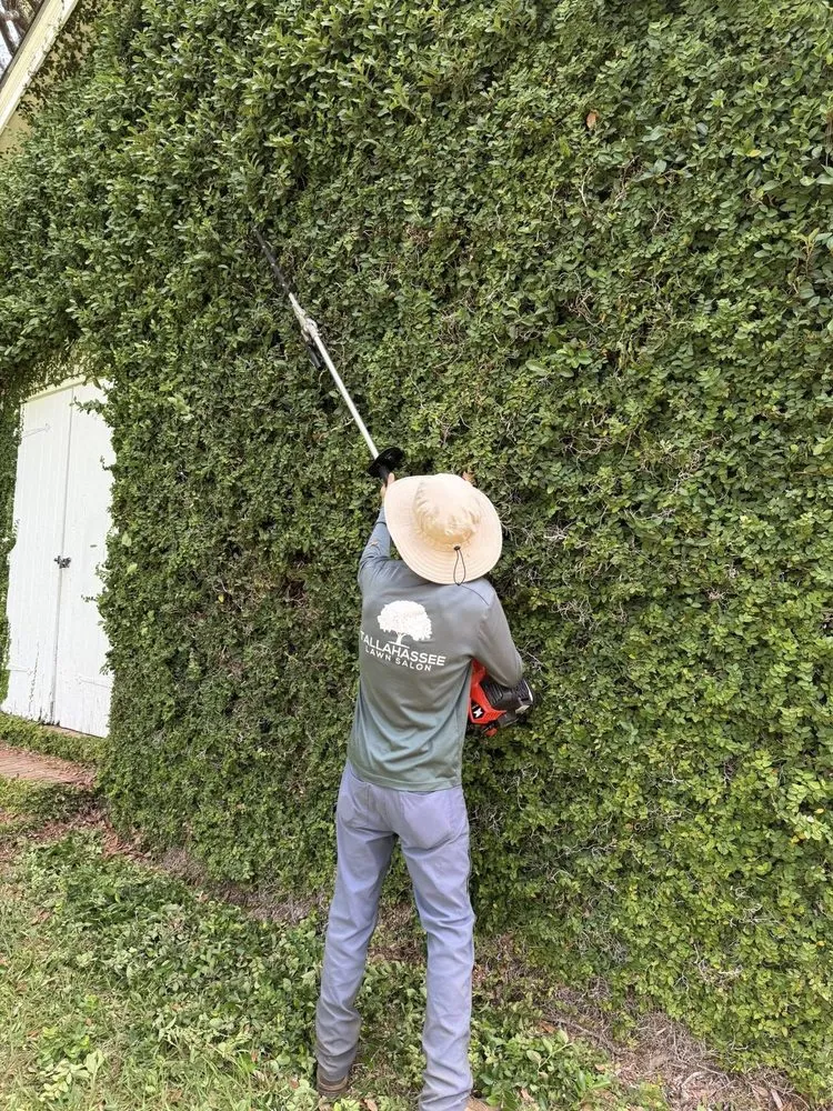 Professional garden landscaping for outdoor upgrades across Tallahassee, FL - Tallahassee Lawn & Landscape