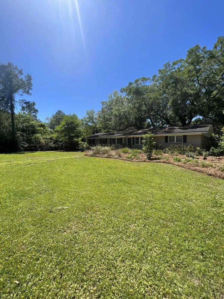 Top-rated lawn care service for year-round maintenance in Tallahassee, FL by Tallahassee Lawn & Landscape