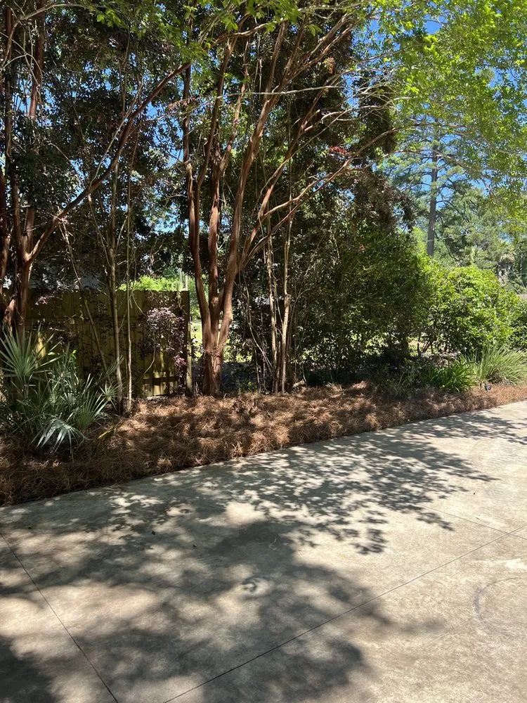 Affordable outdoor landscaping in Tallahassee, FL - Tallahassee Lawn & Landscape