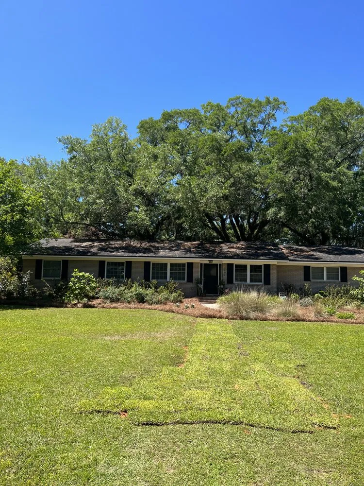 Expert lawn mowing service for outdoor upgrades in Tallahassee, FL by Tallahassee Lawn & Landscape