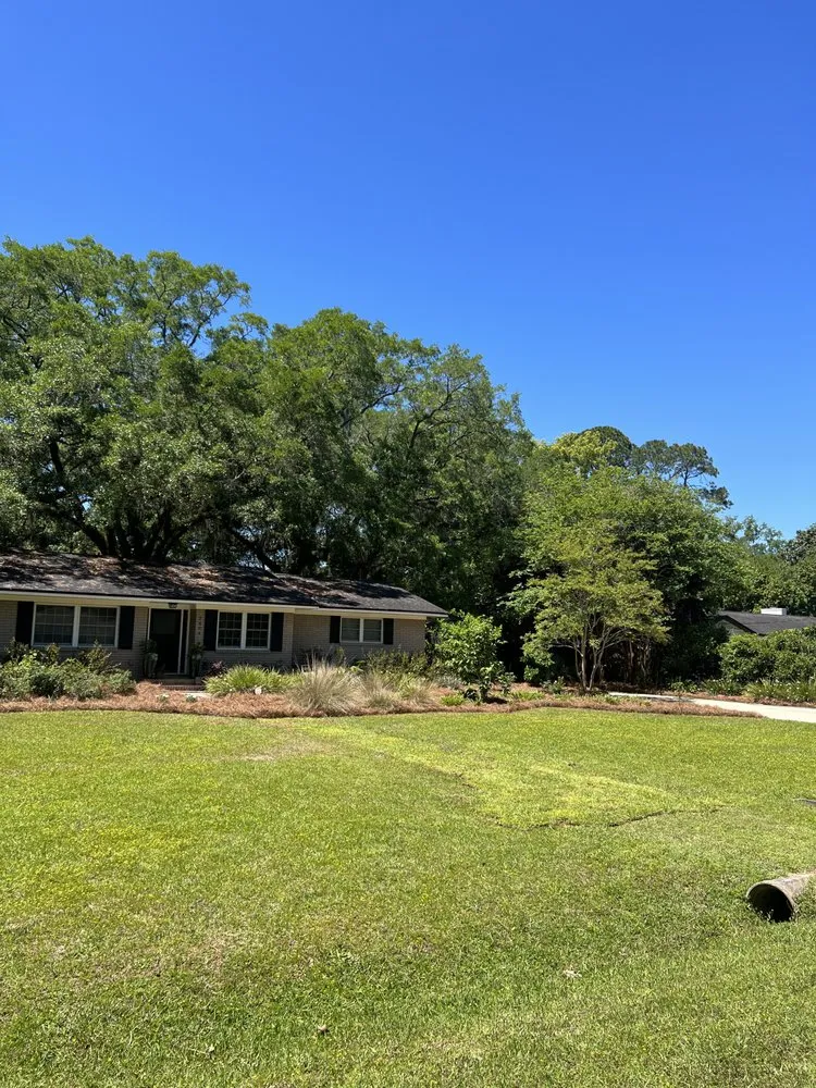 Custom landscape installation in Tallahassee, FL by Tallahassee Lawn & Landscape