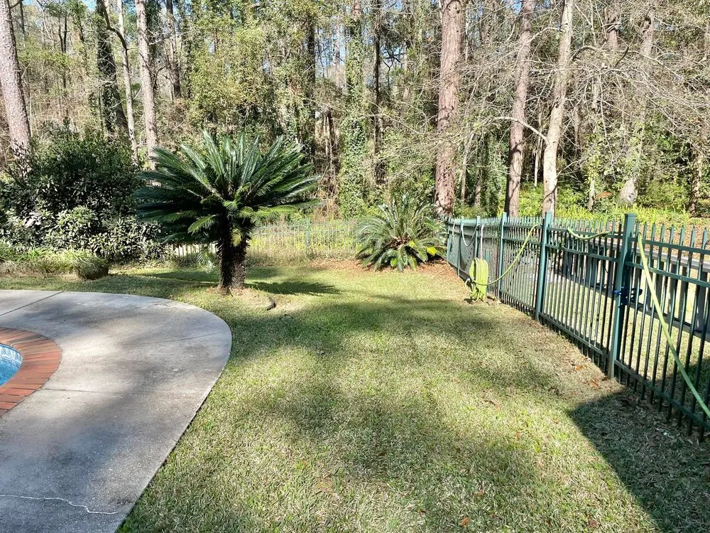 Reliable yard maintenance for outdoor upgrades across Tallahassee, FL - Tallahassee Lawn & Landscape