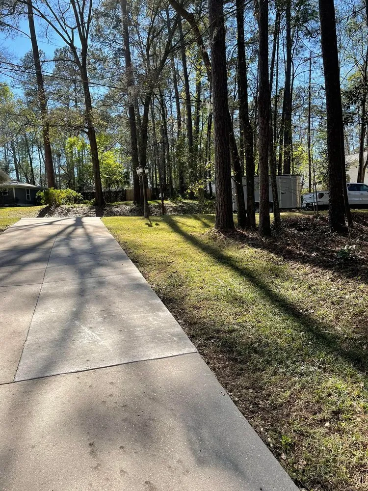 Top-rated landscape installation in Tallahassee, FL by Tallahassee Lawn & Landscape