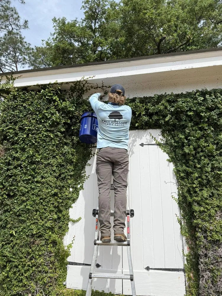 Trusted lawn mowing service in Tallahassee, FL by Tallahassee Lawn & Landscape