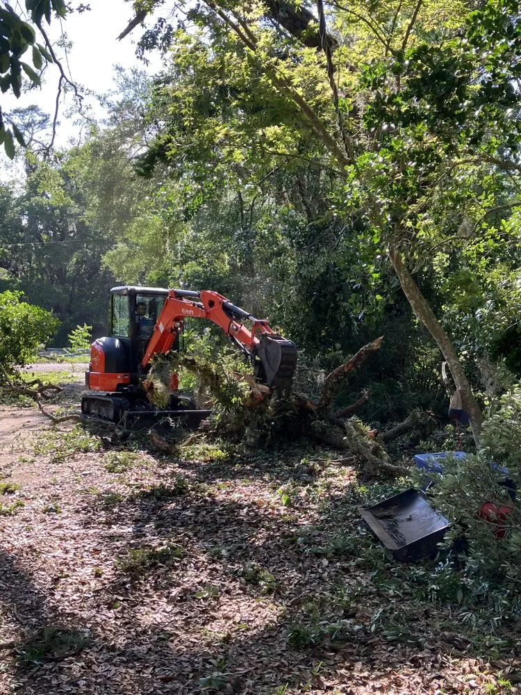 Local lawn care service for outdoor upgrades across Tallahassee, FL - Tallahassee Prime Lawn Care