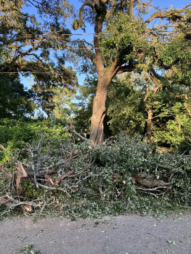 Custom garden landscaping in Tallahassee, FL by Tallahassee Prime Lawn Care