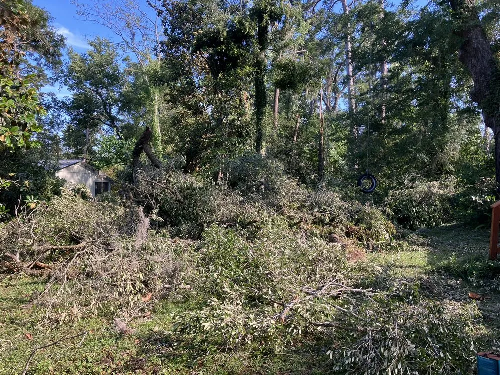 Professional outdoor landscaping experts serving Tallahassee, FL - Tallahassee Prime Lawn Care