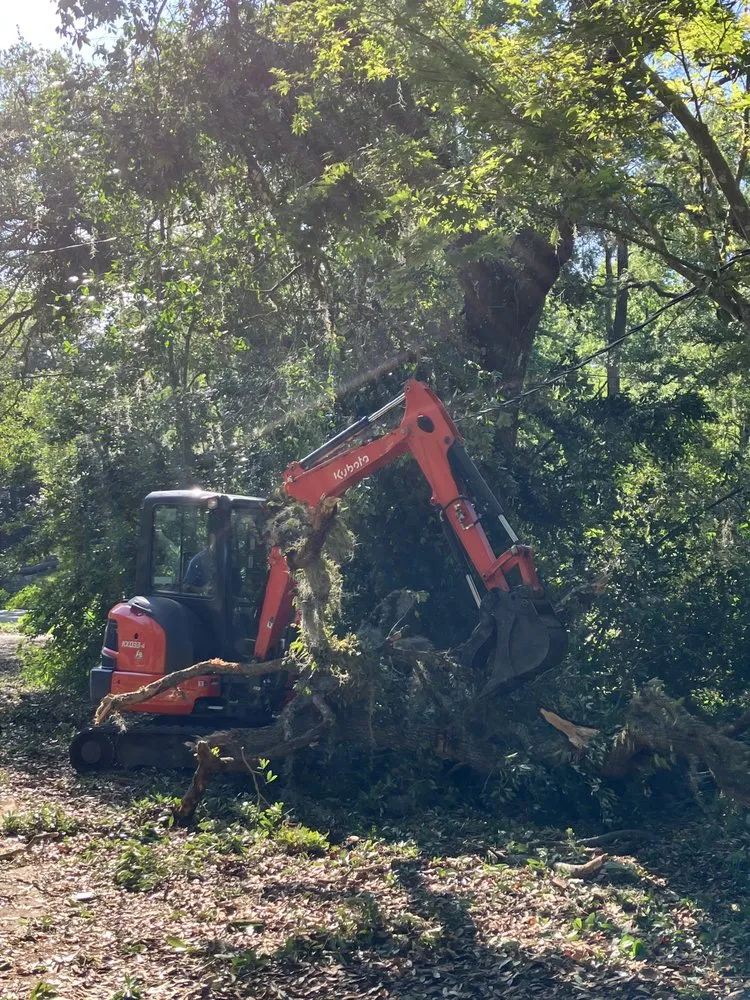 Reliable lawn mowing service experts serving Tallahassee, FL - Tallahassee Prime Lawn Care