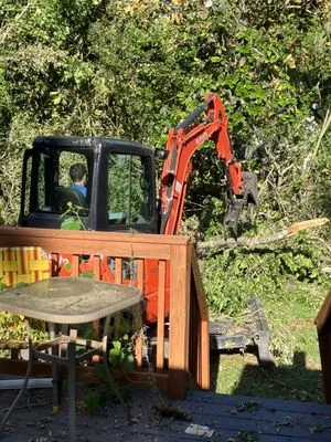 Tallahassee Prime Lawn Care