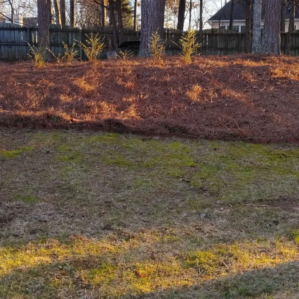 Local lawn mowing service in Dawsonville, GA - Tallant Outdoors