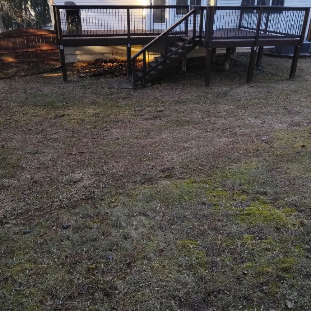 Expert landscaping services in Dawsonville, GA - Tallant Outdoors