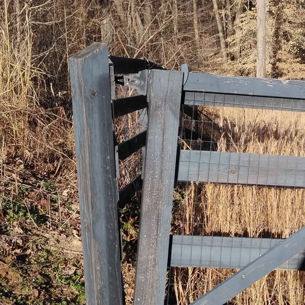 Custom landscaping services for year-round maintenance in Dawsonville, GA by Tallant Outdoors