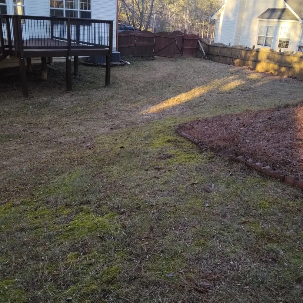 Trusted lawn mowing service in Dawsonville, GA - Tallant Outdoors