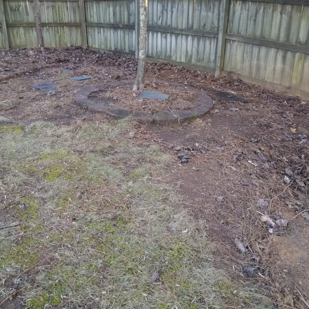 Expert landscaping services for beautiful yards across Dawsonville, GA - Tallant Outdoors