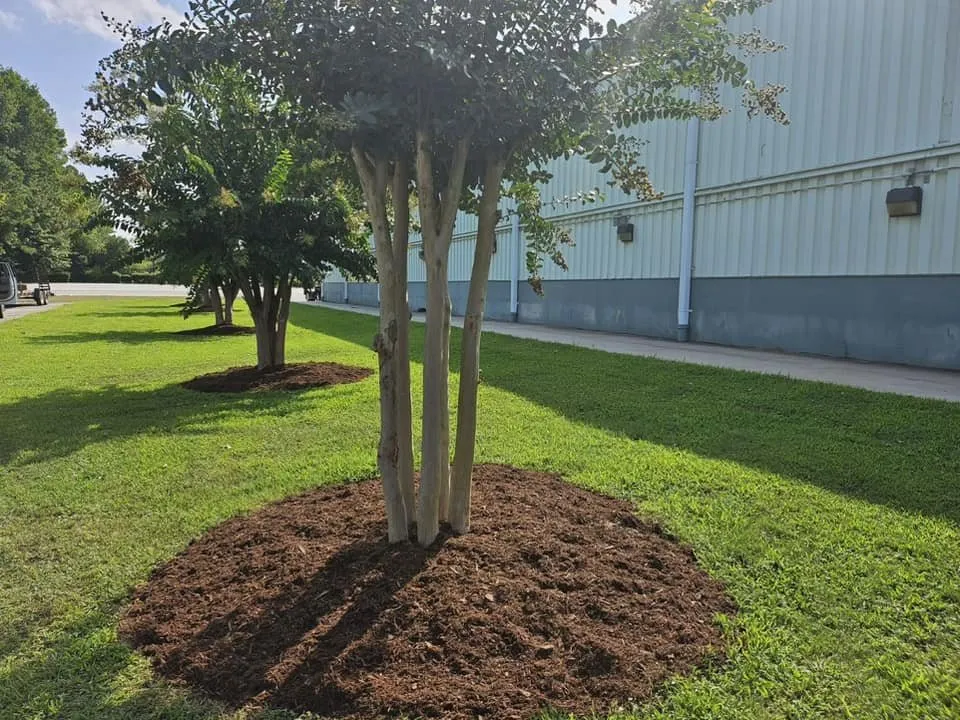 Reliable landscape installation experts serving Hartwell, GA - Tallent Lawn Services, LLC