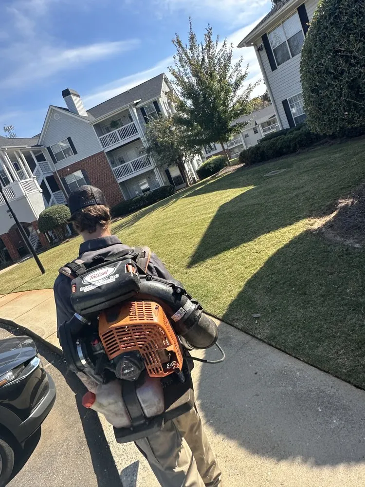 Local yard maintenance in Hartwell, GA by Tallent Lawn Services, LLC