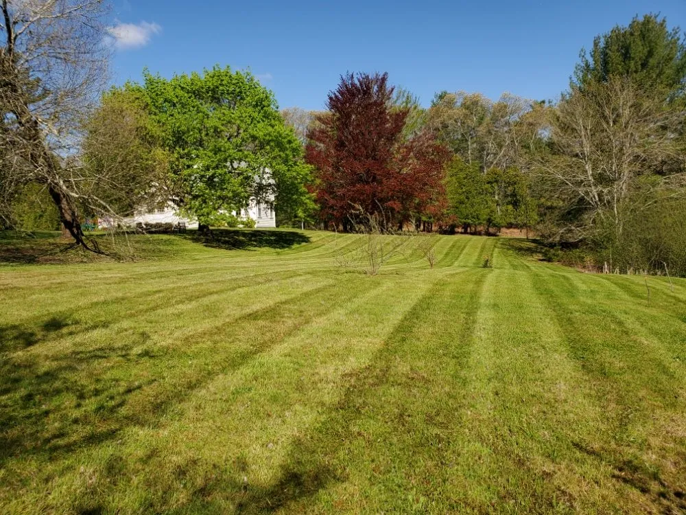 Local yard maintenance in Plymouth, MA - Taller Landscaping and Construction