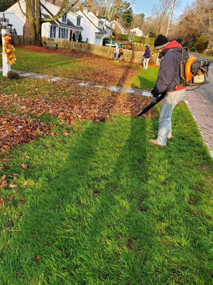 Affordable landscape design experts serving Plymouth, MA - Taller Landscaping and Construction