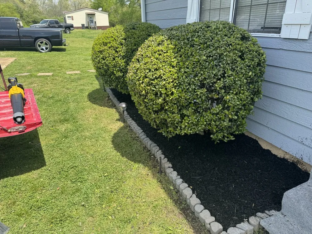 Reliable lawn care service for beautiful yards in Bolivar, TN by Talley Lawn Care