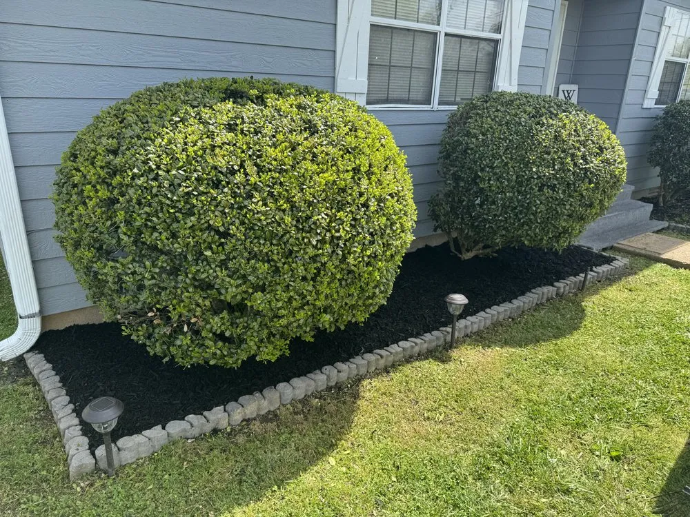 Affordable lawn mowing service near you in Bolivar, TN by Talley Lawn Care