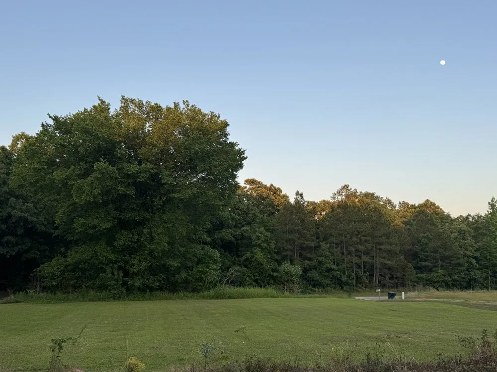 Trusted lawn care service experts serving Bolivar, TN - Talley Lawn Care