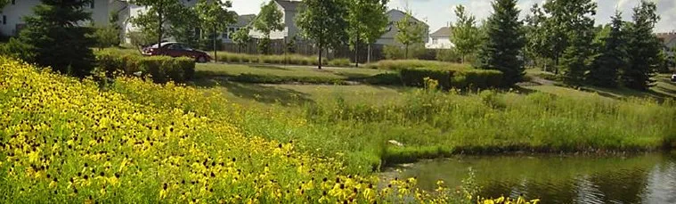 Top-rated landscaping services experts serving Milton, WI - Tallgrass Restoration