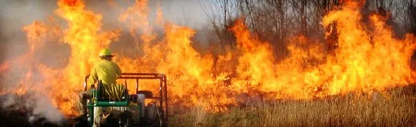 Tallgrass Restoration Logo