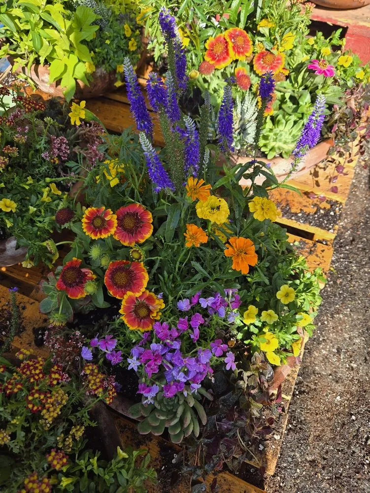 Affordable landscaping services experts serving Perris, CA - Tallulah's Landscape & Gardening