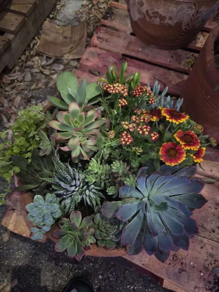 Local landscaping services for beautiful yards across Perris, CA - Tallulah's Landscape & Gardening