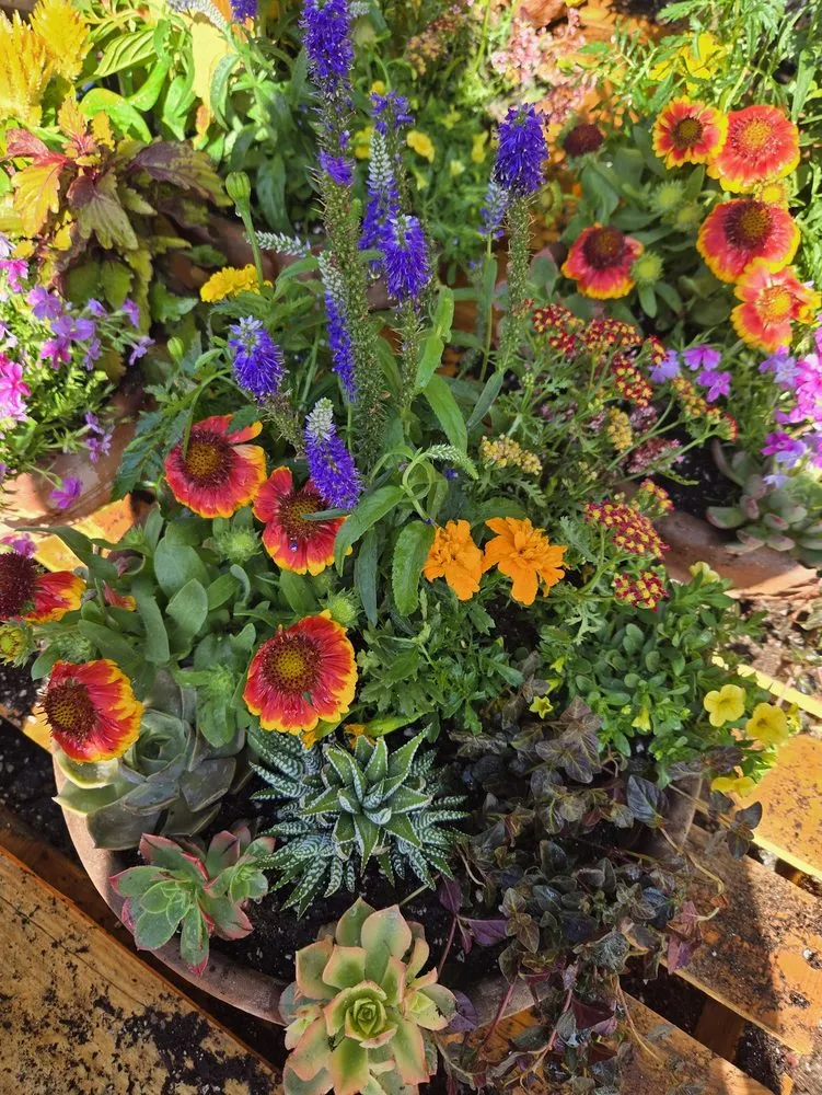 Expert outdoor landscaping in Perris, CA - Tallulah's Landscape & Gardening