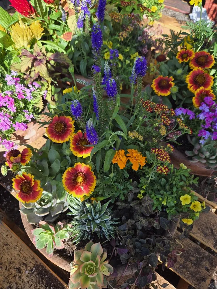 Trusted residential landscaping for beautiful yards across Perris, CA - Tallulah's Landscape & Gardening