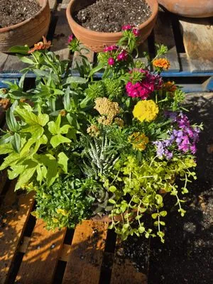 Tallulah's Landscape & Gardening Logo