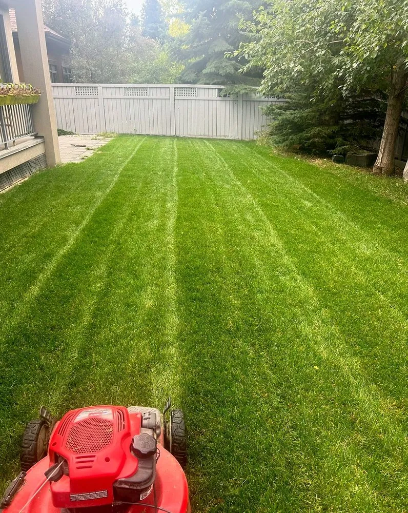 Affordable yard cleanup service for year-round maintenance in Jacksonville, FL by Tallyrand Lawn Care