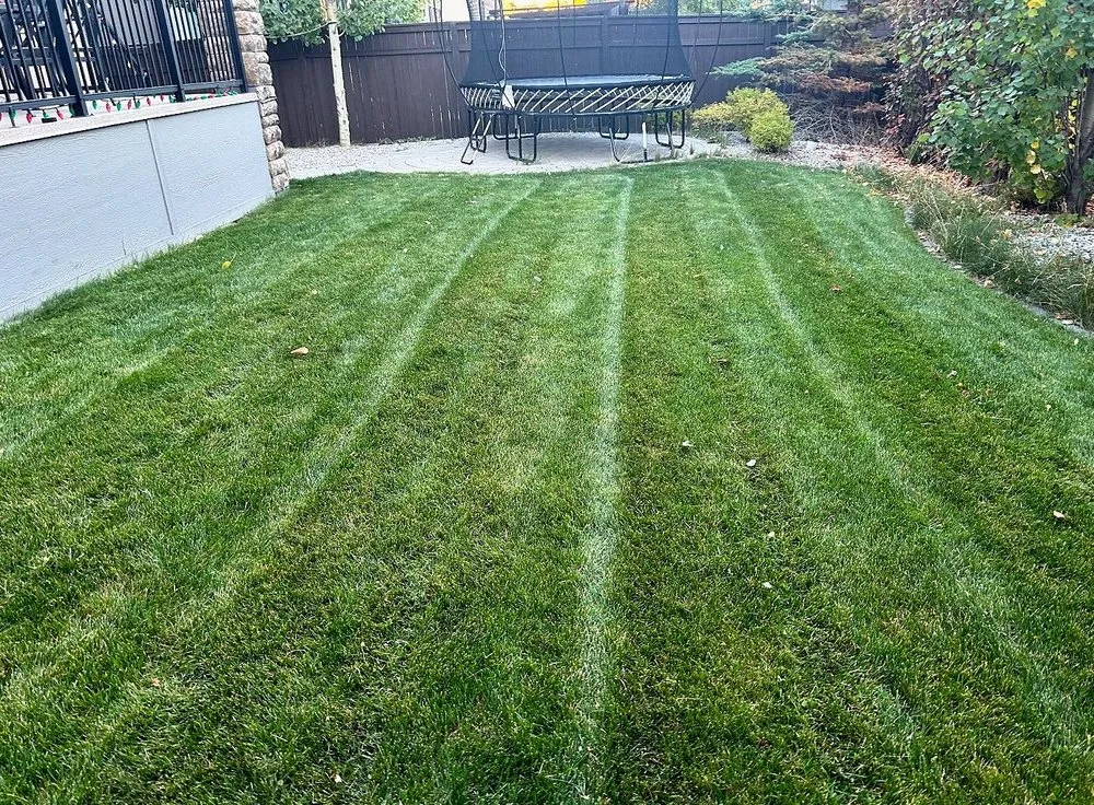 Affordable lawn care service in Jacksonville, FL by Tallyrand Lawn Care