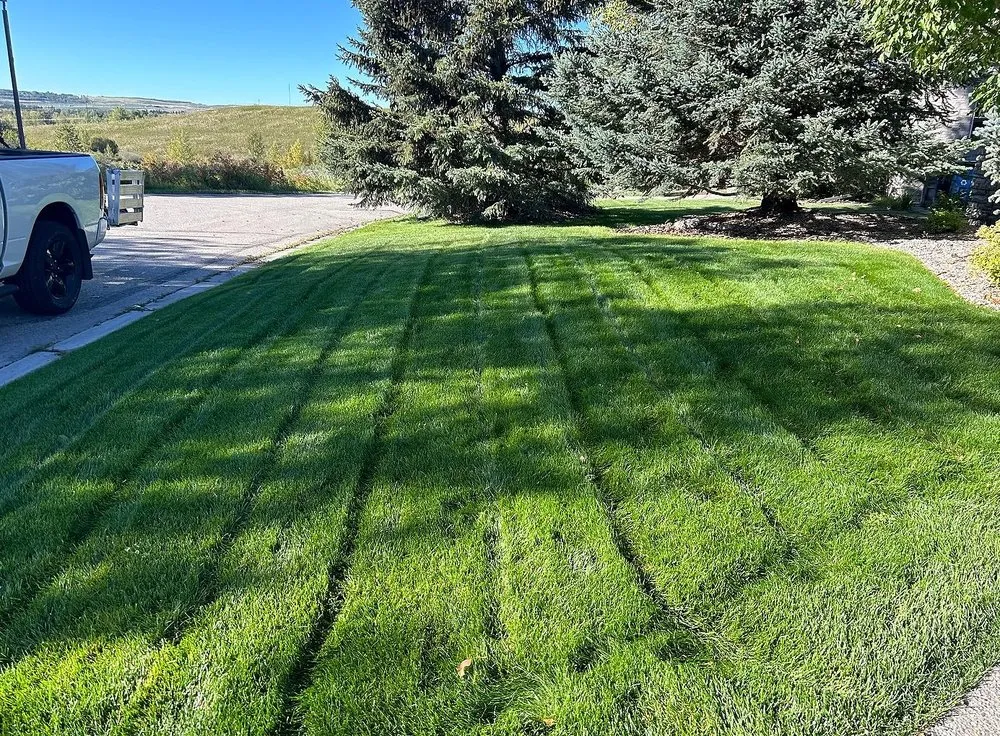 Top-rated landscape design near you across Jacksonville, FL - Tallyrand Lawn Care